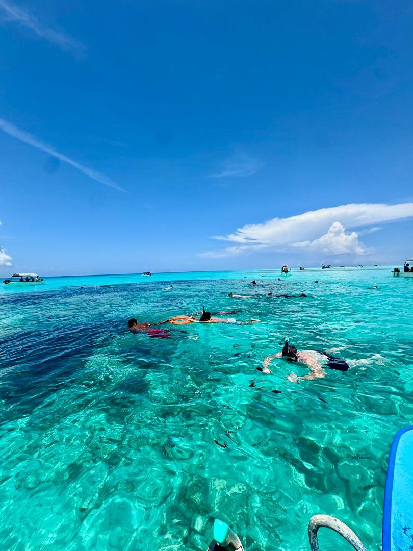 Mnemba snorkeling excursion in Zanzibar