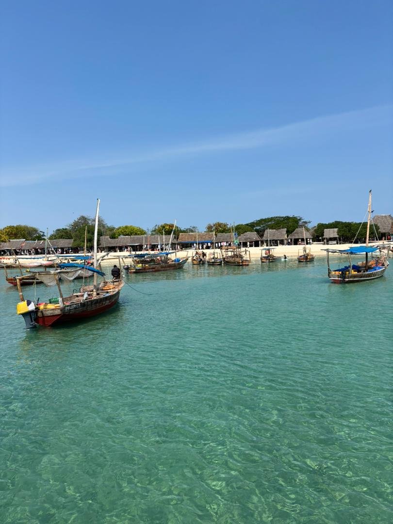 Traditional boats during a Zanzibar tour on the Indian Ocean