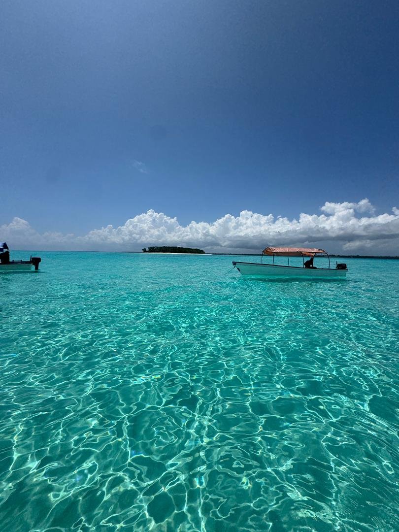 Safari Blue Zanzibar excursion from Fumba with sandbank and snorkeling