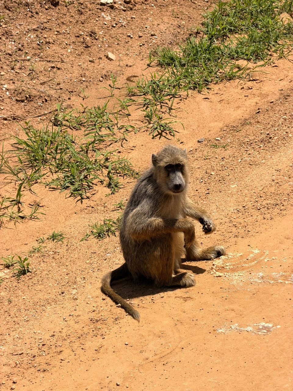 Local Zanzibar tour experience with Zanzibar For You